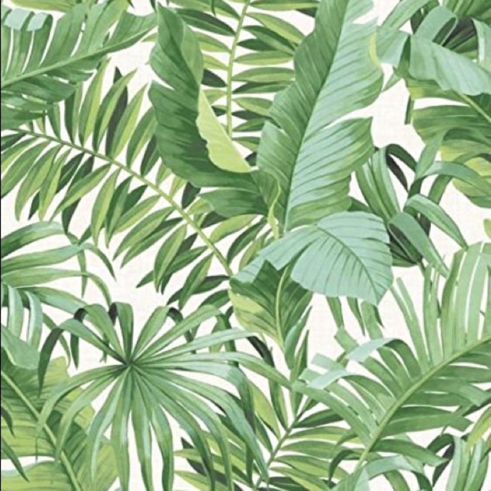 Meet your Posher, Shea